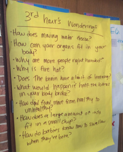 Whole class generated list of our wonderings